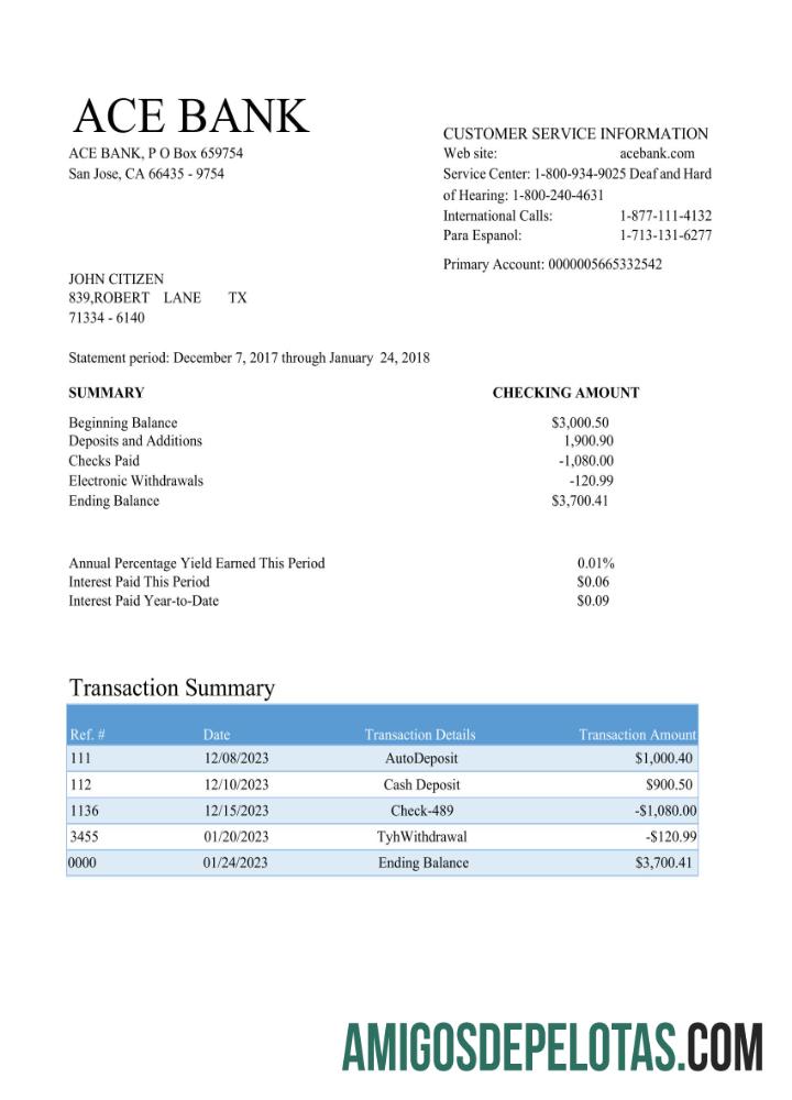 Extrato bancário ACE em branco dos EUA Word e PDF modelo Scr